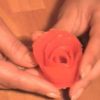 Astuce rose tomate